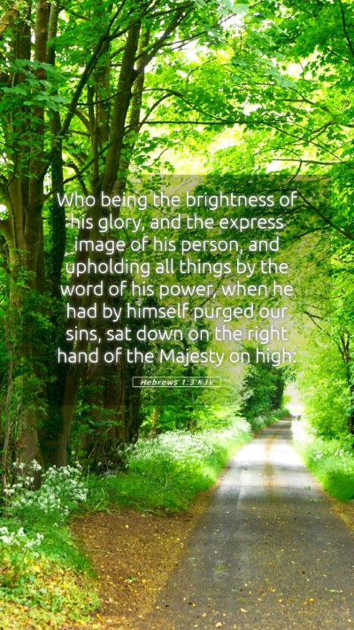 Picture 05 - Hebrews 1:3 KJV Mobile Phone Wallpaper - Who being the brightness of his glory, and the - Mobile Bible Verse Wallpaper