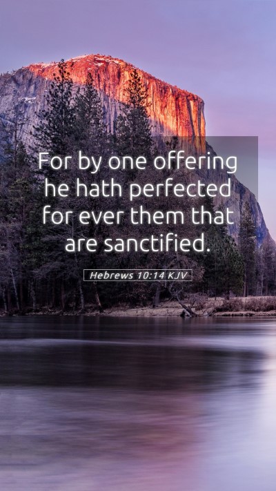 Picture 05 - Hebrews 10:14 KJV Mobile Phone Wallpaper - For by one offering he hath perfected for ever - Mobile Bible Verse Wallpaper