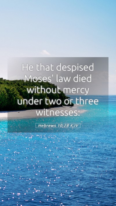 Picture 05 - Hebrews 10:28 KJV Mobile Phone Wallpaper - He that despised Moses' law died without mercy - Mobile Bible Verse Wallpaper