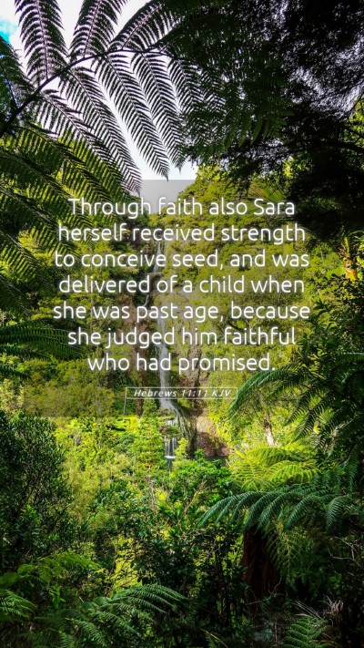 Picture 05 - Hebrews 11:11 KJV Mobile Phone Wallpaper - Through faith also Sara herself received strength - Mobile Bible Verse Wallpaper