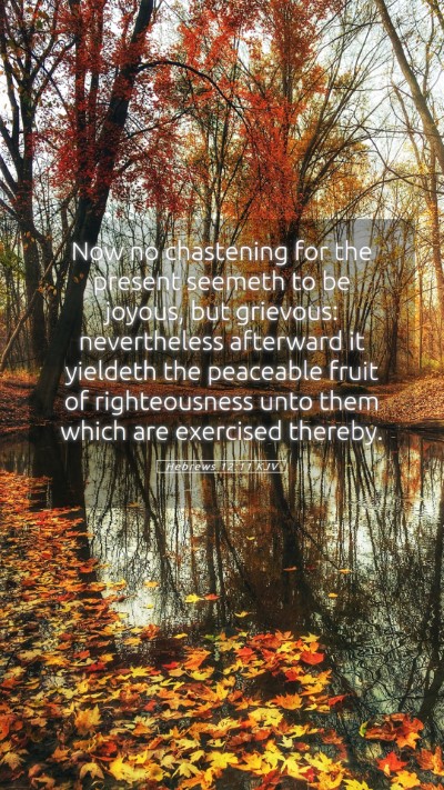 Picture 05 - Hebrews 12:11 KJV Mobile Phone Wallpaper - Now no chastening for the present seemeth to be - Mobile Bible Verse Wallpaper