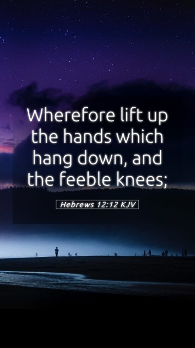 Picture 05 - Hebrews 12:12 KJV Mobile Phone Wallpaper - Wherefore lift up the hands which hang down, and - Mobile Bible Verse Wallpaper
