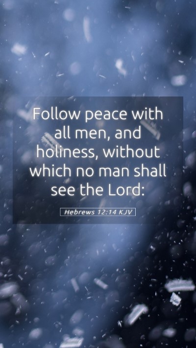 Picture 05 - Hebrews 12:14 KJV Mobile Phone Wallpaper - Follow peace with all men, and holiness, without - Mobile Bible Verse Wallpaper