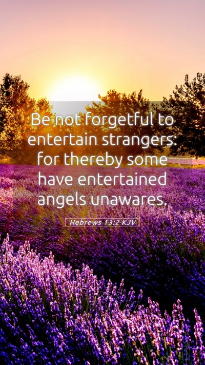 Picture 05 - Hebrews 13:2 KJV Mobile Phone Wallpaper - Be not forgetful to entertain strangers: for - Mobile Bible Verse Wallpaper