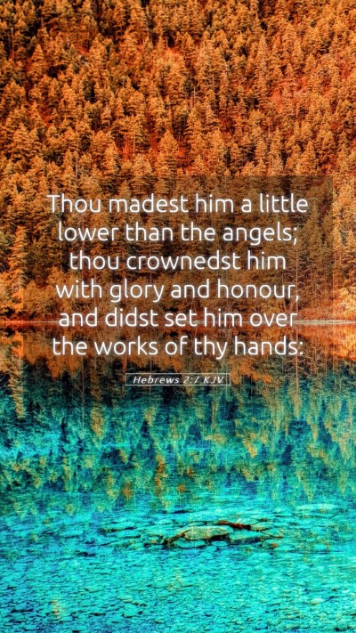 Picture 05 - Hebrews 2:7 KJV Mobile Phone Wallpaper - Thou madest him a little lower than the angels; - Mobile Bible Verse Wallpaper