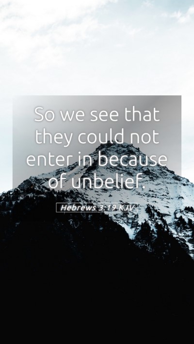 Picture 05 - Hebrews 3:19 KJV Mobile Phone Wallpaper - So we see that they could not enter in because of - Mobile Bible Verse Wallpaper
