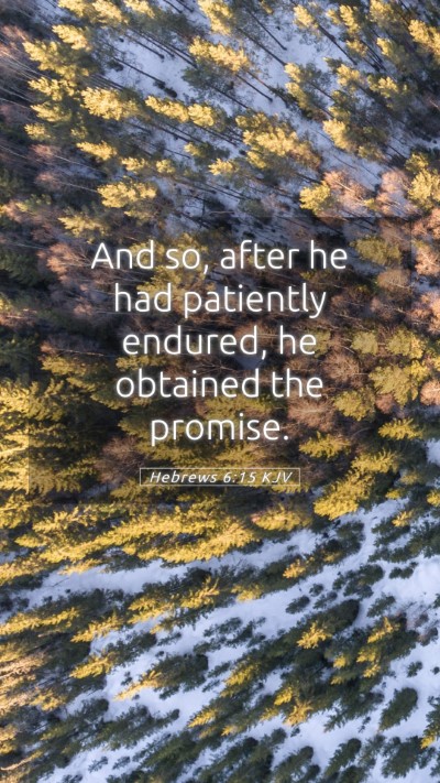 Picture 05 - Hebrews 6:15 KJV Mobile Phone Wallpaper - And so, after he had patiently endured, he - Mobile Bible Verse Wallpaper