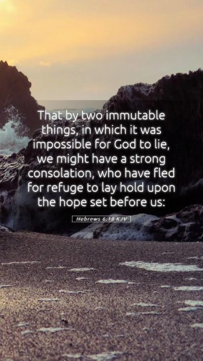 Picture 05 - Hebrews 6:18 KJV Mobile Phone Wallpaper - That by two immutable things, in which it was - Mobile Bible Verse Wallpaper