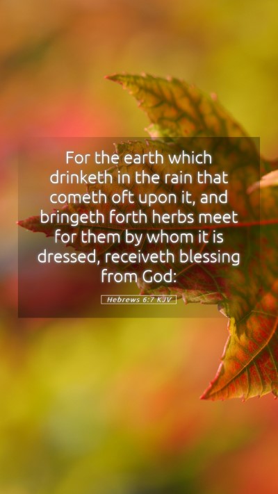 Picture 05 - Hebrews 6:7 KJV Mobile Phone Wallpaper - For the earth which drinketh in the rain that - Mobile Bible Verse Wallpaper