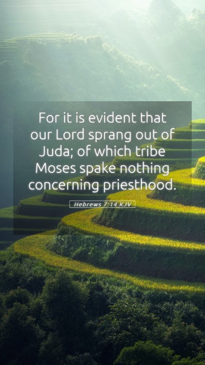 Picture 05 - Hebrews 7:14 KJV Mobile Phone Wallpaper - For it is evident that our Lord sprang out of - Mobile Bible Verse Wallpaper