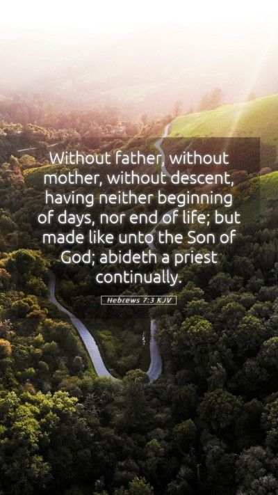 Picture 05 - Hebrews 7:3 KJV Mobile Phone Wallpaper - Without father, without mother, without descent, - Mobile Bible Verse Wallpaper