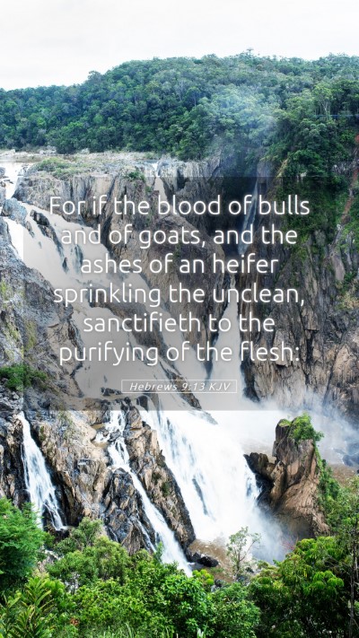 Picture 05 - Hebrews 9:13 KJV Mobile Phone Wallpaper - For if the blood of bulls and of goats, and the - Mobile Bible Verse Wallpaper