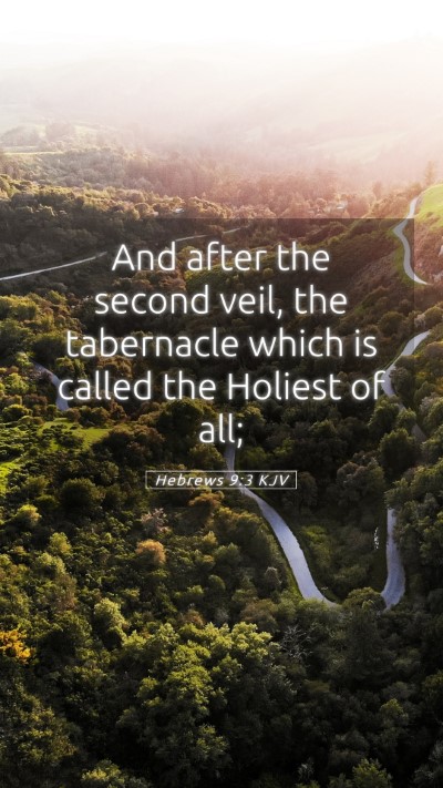 Picture 05 - Hebrews 9:3 KJV Mobile Phone Wallpaper - And after the second veil, the tabernacle which - Mobile Bible Verse Wallpaper