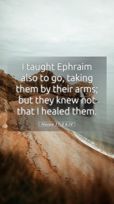 Picture 05 - Hosea 11:3 KJV Mobile Phone Wallpaper - I taught Ephraim also to go, taking them by their - Mobile Bible Verse Wallpaper