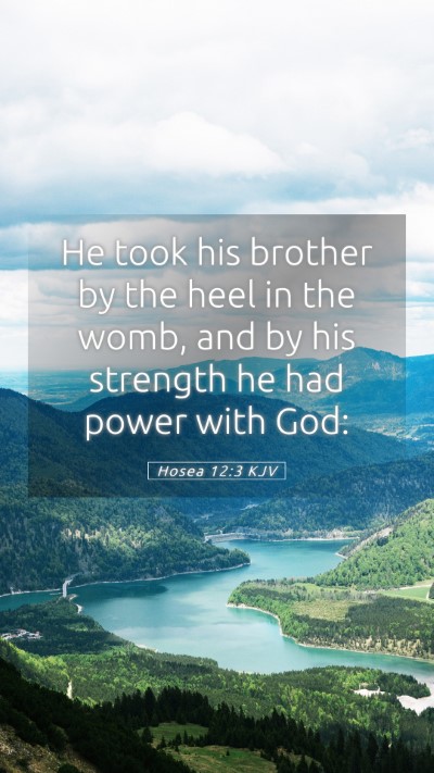 Picture 05 - Hosea 12:3 KJV Mobile Phone Wallpaper - He took his brother by the heel in the womb, and - Mobile Bible Verse Wallpaper