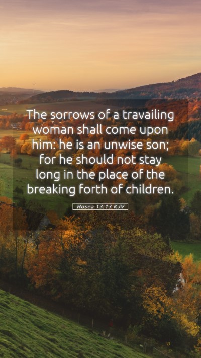 Picture 05 - Hosea 13:13 KJV Mobile Phone Wallpaper - The sorrows of a travailing woman shall come upon - Mobile Bible Verse Wallpaper