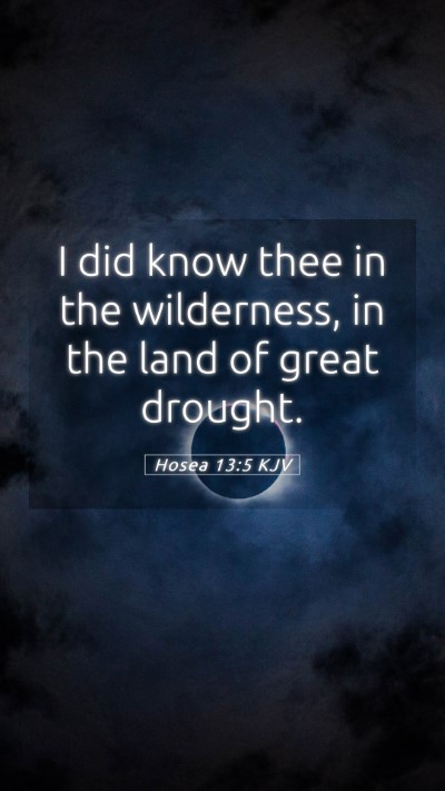 Picture 05 - Hosea 13:5 KJV Mobile Phone Wallpaper - I did know thee in the wilderness, in the land of - Mobile Bible Verse Wallpaper
