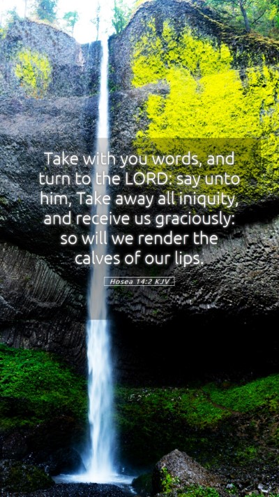 Picture 05 - Hosea 14:2 KJV Mobile Phone Wallpaper - Take with you words, and turn to the LORD: say - Mobile Bible Verse Wallpaper