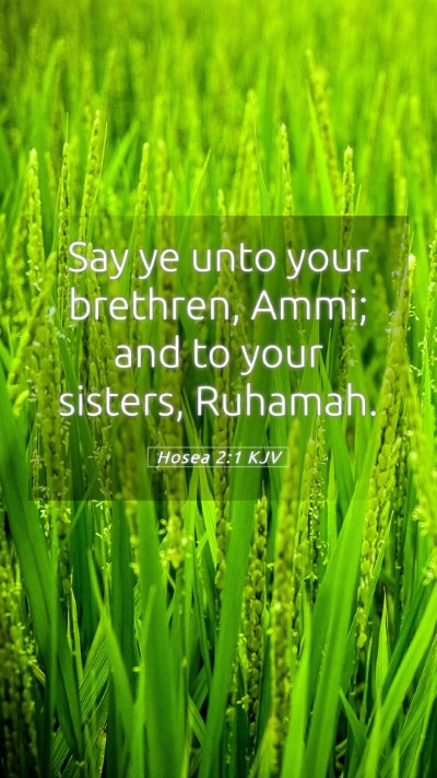 Picture 05 - Hosea 2:1 KJV Mobile Phone Wallpaper - Say ye unto your brethren, Ammi; and to your - Mobile Bible Verse Wallpaper