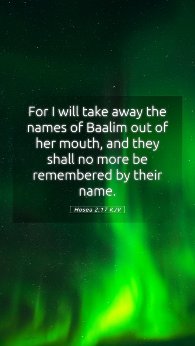 Picture 05 - Hosea 2:17 KJV Mobile Phone Wallpaper - For I will take away the names of Baalim out of - Mobile Bible Verse Wallpaper