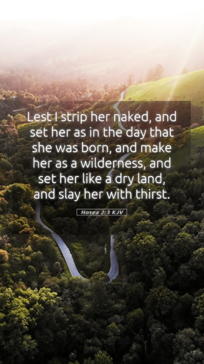 Picture 05 - Hosea 2:3 KJV Mobile Phone Wallpaper - Lest I strip her naked, and set her as in the day - Mobile Bible Verse Wallpaper
