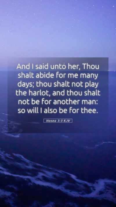 Picture 05 - Hosea 3:3 KJV Mobile Phone Wallpaper - And I said unto her, Thou shalt abide for me many - Mobile Bible Verse Wallpaper
