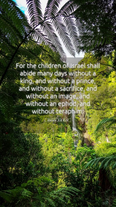 Picture 05 - Hosea 3:4 KJV Mobile Phone Wallpaper - For the children of Israel shall abide many days - Mobile Bible Verse Wallpaper