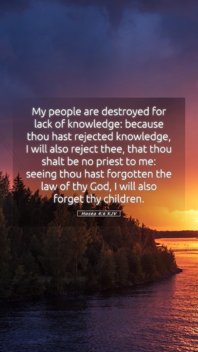 Picture 05 - Hosea 4:6 KJV Mobile Phone Wallpaper - My people are destroyed for lack of knowledge: - Mobile Bible Verse Wallpaper