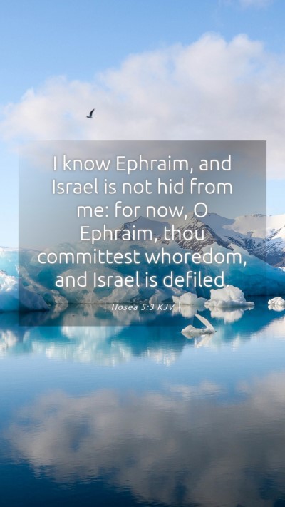 Picture 05 - Hosea 5:3 KJV Mobile Phone Wallpaper - I know Ephraim, and Israel is not hid from me: - Mobile Bible Verse Wallpaper
