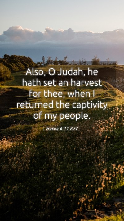 Picture 05 - Hosea 6:11 KJV Mobile Phone Wallpaper - Also, O Judah, he hath set an harvest for thee, - Mobile Bible Verse Wallpaper