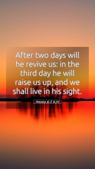 Picture 05 - Hosea 6:2 KJV Mobile Phone Wallpaper - After two days will he revive us: in the third - Mobile Bible Verse Wallpaper
