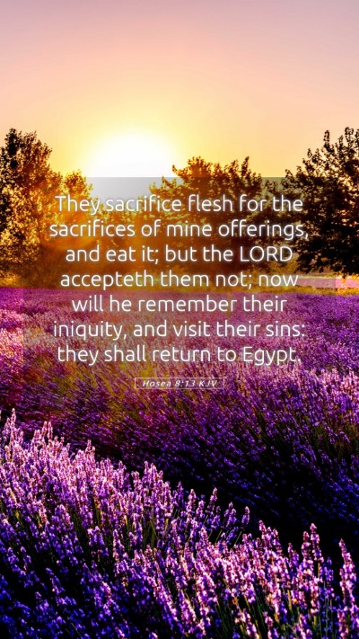 Picture 05 - Hosea 8:13 KJV Mobile Phone Wallpaper - They sacrifice flesh for the sacrifices of mine - Mobile Bible Verse Wallpaper