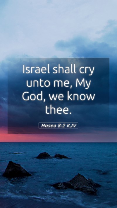 Picture 05 - Hosea 8:2 KJV Mobile Phone Wallpaper - Israel shall cry unto me, My God, we know - Mobile Bible Verse Wallpaper