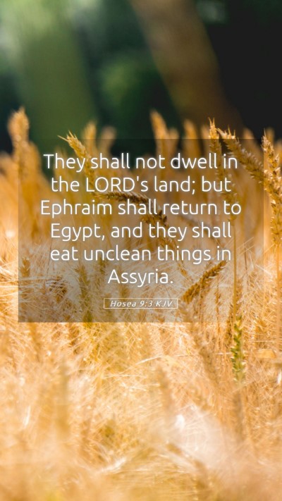 Picture 05 - Hosea 9:3 KJV Mobile Phone Wallpaper - They shall not dwell in the LORD's land; but - Mobile Bible Verse Wallpaper