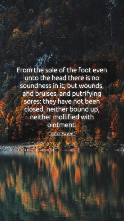 Picture 05 - Isaiah 1:6 KJV Mobile Phone Wallpaper - From the sole of the foot even unto the head - Mobile Bible Verse Wallpaper