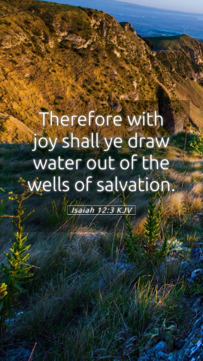 Picture 05 - Isaiah 12:3 KJV Mobile Phone Wallpaper - Therefore with joy shall ye draw water out of the - Mobile Bible Verse Wallpaper