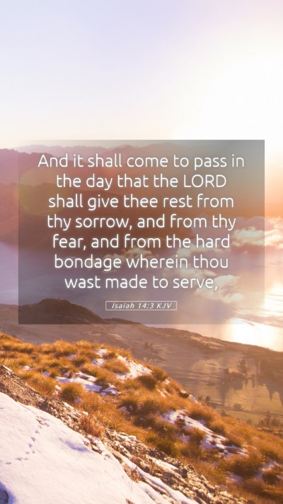 Picture 05 - Isaiah 14:3 KJV Mobile Phone Wallpaper - And it shall come to pass in the day that the - Mobile Bible Verse Wallpaper
