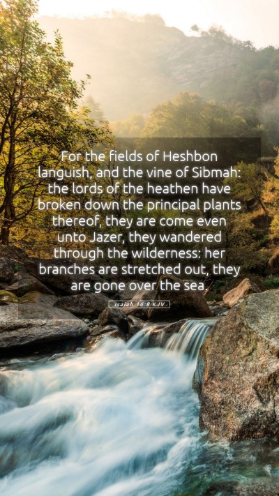 Picture 05 - Isaiah 16:8 KJV Mobile Phone Wallpaper - For the fields of Heshbon languish, and the vine - Mobile Bible Verse Wallpaper
