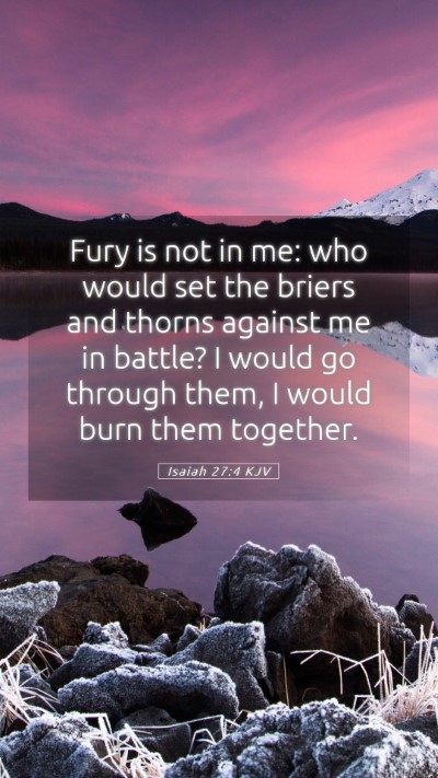 Picture 05 - Isaiah 27:4 KJV Mobile Phone Wallpaper - Fury is not in me: who would set the briers and - Mobile Bible Verse Wallpaper
