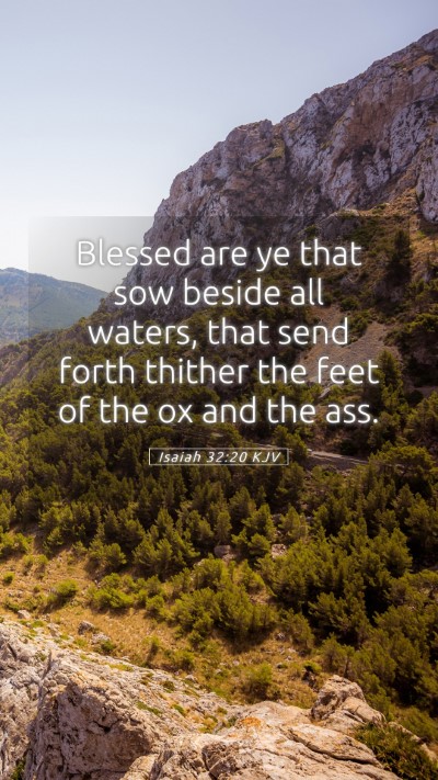 Picture 05 - Isaiah 32:20 KJV Mobile Phone Wallpaper - Blessed are ye that sow beside all waters, that - Mobile Bible Verse Wallpaper