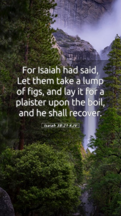 Picture 05 - Isaiah 38:21 KJV Mobile Phone Wallpaper - For Isaiah had said, Let them take a lump of - Mobile Bible Verse Wallpaper