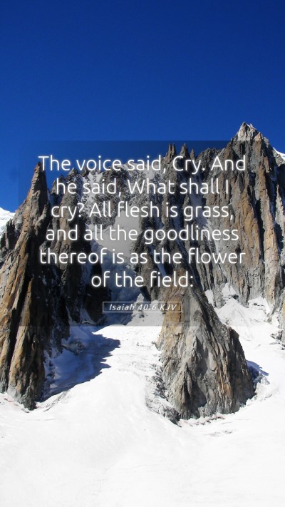 Picture 05 - Isaiah 40:6 KJV Mobile Phone Wallpaper - The voice said, Cry. And he said, What shall I - Mobile Bible Verse Wallpaper