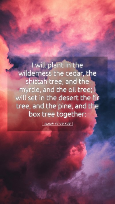 Picture 05 - Isaiah 41:19 KJV Mobile Phone Wallpaper - I will plant in the wilderness the cedar, the - Mobile Bible Verse Wallpaper