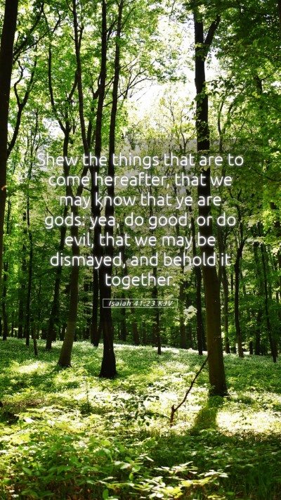 Picture 05 - Isaiah 41:23 KJV Mobile Phone Wallpaper - Shew the things that are to come hereafter, that - Mobile Bible Verse Wallpaper