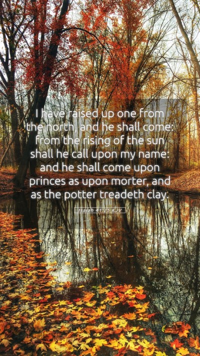 Picture 05 - Isaiah 41:25 KJV Mobile Phone Wallpaper - I have raised up one from the north, and he shall - Mobile Bible Verse Wallpaper
