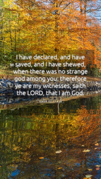 Picture 05 - Isaiah 43:12 KJV Mobile Phone Wallpaper - I have declared, and have saved, and I have - Mobile Bible Verse Wallpaper