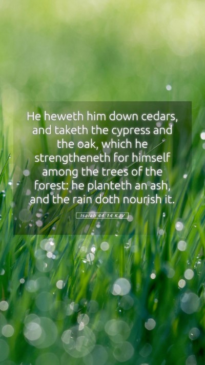 Picture 05 - Isaiah 44:14 KJV Mobile Phone Wallpaper - He heweth him down cedars, and taketh the cypress - Mobile Bible Verse Wallpaper