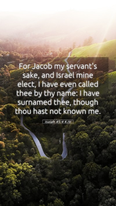 Picture 05 - Isaiah 45:4 KJV Mobile Phone Wallpaper - For Jacob my servant's sake, and Israel mine - Mobile Bible Verse Wallpaper