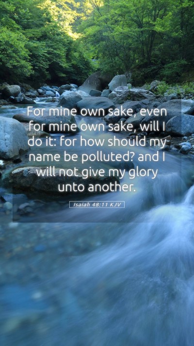 Picture 05 - Isaiah 48:11 KJV Mobile Phone Wallpaper - For mine own sake, even for mine own sake, will I - Mobile Bible Verse Wallpaper