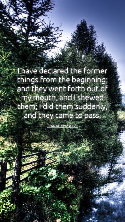 Picture 05 - Isaiah 48:3 KJV Mobile Phone Wallpaper - I have declared the former things from the - Mobile Bible Verse Wallpaper